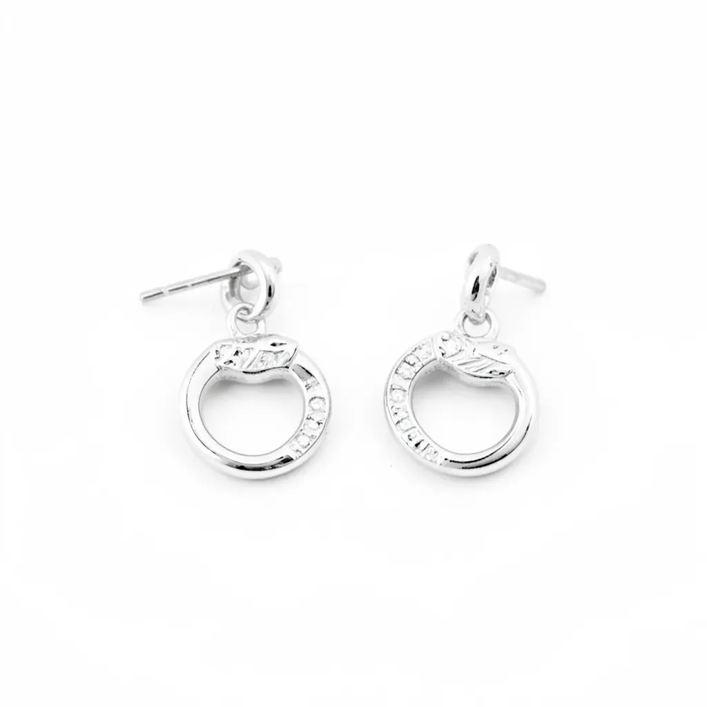 Boucles d'Oreilles en Argent